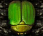 Green Scarab (E3 2001) - Star Fox Adventures
