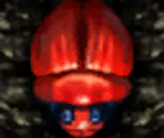 Red Scarab (E3 2001) - Star Fox Adventures