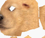Golden Retriever - Nintendogs