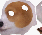 Jack Russell Terrier - Nintendogs