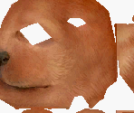 Miniature Dachshund - Nintendogs
