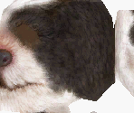 Shih Tzu - Nintendogs