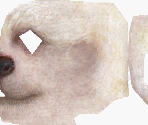 Toy Poodle - Nintendogs
