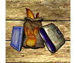 ThornTail Store - Star Fox Adventures