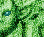 Fairy's Gift - Yu-Gi-Oh!: The Falsebound Kingdom