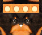 Miniature Dachshund - Nintendogs + Cats