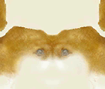 Shiba Inu - Nintendogs + Cats