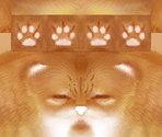 Longhair Cat - Nintendogs + Cats