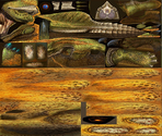 Royal Ludroth - Monster Hunter XX (JPN)