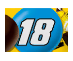 Kyle Busch - NASCAR Kart Racing