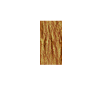 Stick - Nintendogs