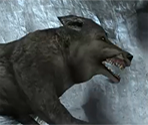 Wolves - Tomb Raider Anniversary
