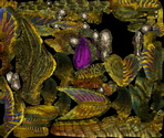 Atoraru-Ka (Phase 1) - Monster Hunter XX (JPN)