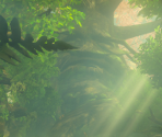 Korok Forest - The Legend of Zelda: Breath of the Wild