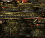 Deviljho - Monster Hunter XX (JPN)