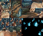 Lagiacrus - Monster Hunter XX (JPN)