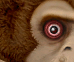 Monkey - Manhunt