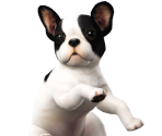 Nintendog - Super Smash Bros. for Nintendo 3DS