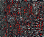 Editor Images - Call of Duty