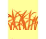 straw shirt - Animal Crossing: New Leaf