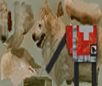Rescue Dog - Emergency 4: Global Fighters for Life