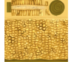 Corn - Bone: Out from Boneville / The Great Cow Race