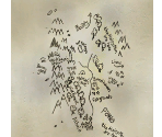 The Valley Map - Bone: Out from Boneville / The Great Cow Race
