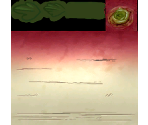Turnip - Bone: Out from Boneville / The Great Cow Race