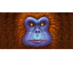 Spider Monkey - Carnevil