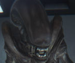 Xenomorph - Alien: Isolation