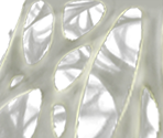 Spider Web - Rayman 2: The Great Escape