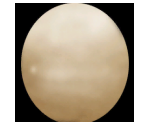 Egg - Wildlife Park 2