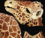 Giraffe - Wildlife Park 2