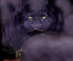 Jaguar (Melanism) - Wildlife Park 2