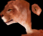 Cougar - Wildlife Park 2
