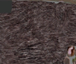 Rat - Wildlife Park 2