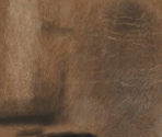 Sea Lion - Wildlife Park 2
