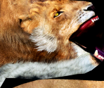Smilodon - Wildlife Park 2