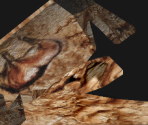 Caveman Painting (Rock) - Wildlife Park 2