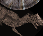 Deynonichus Sculpture - Wildlife Park 2