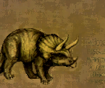 Footsteps (Board) - Wildlife Park 2