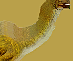 Galimimus Sculpture - Wildlife Park 2