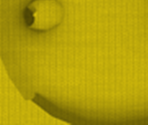 Weird Hat - Roblox
