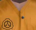 D-Class Personnel - SCP Containment Breach