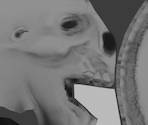 SCP-966 - SCP Containment Breach