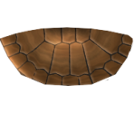 Eastern Long-Necked Turtle - Megaquarium