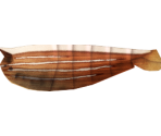 Fan Shrimp - Megaquarium
