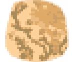 Yellow Damask - LittleBigPlanet