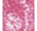 Pink Tie-dye - LittleBigPlanet