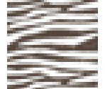 Zebra Fabric - LittleBigPlanet